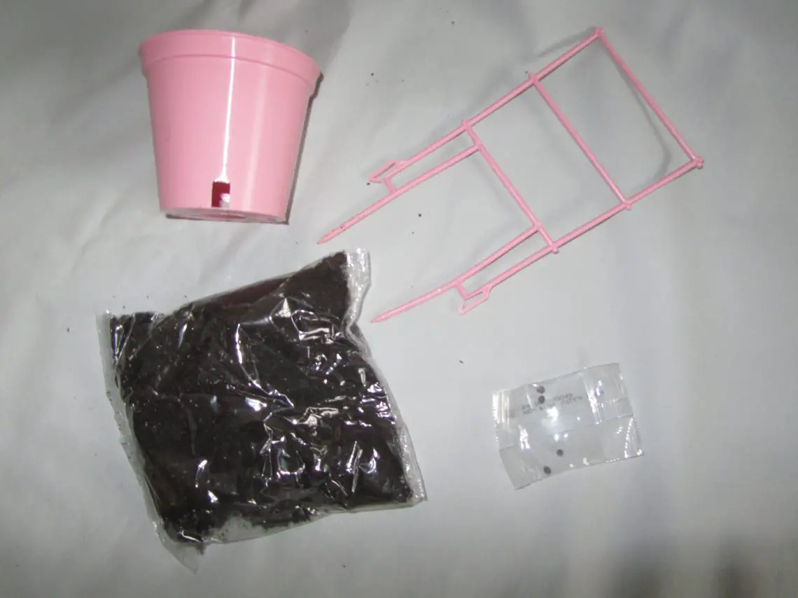 Sweet pea kit contents