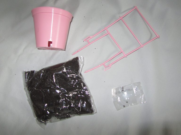 Sweet pea kit contents