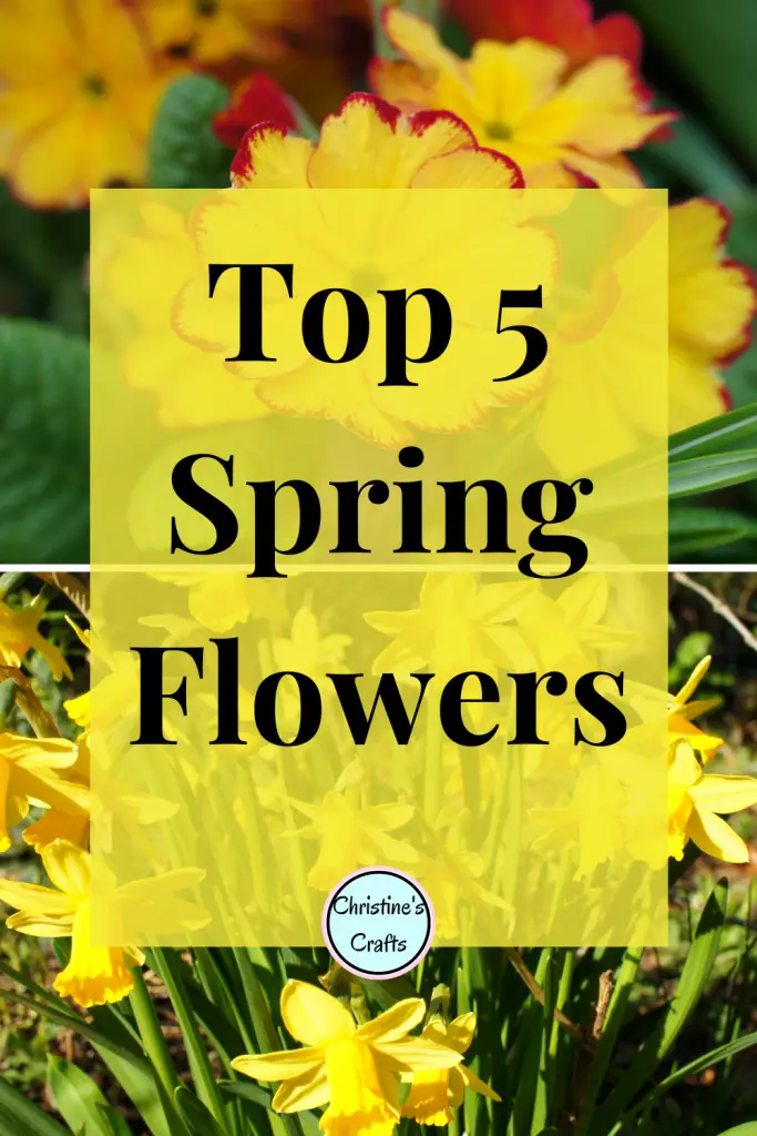 top 5 spring flowers pin1