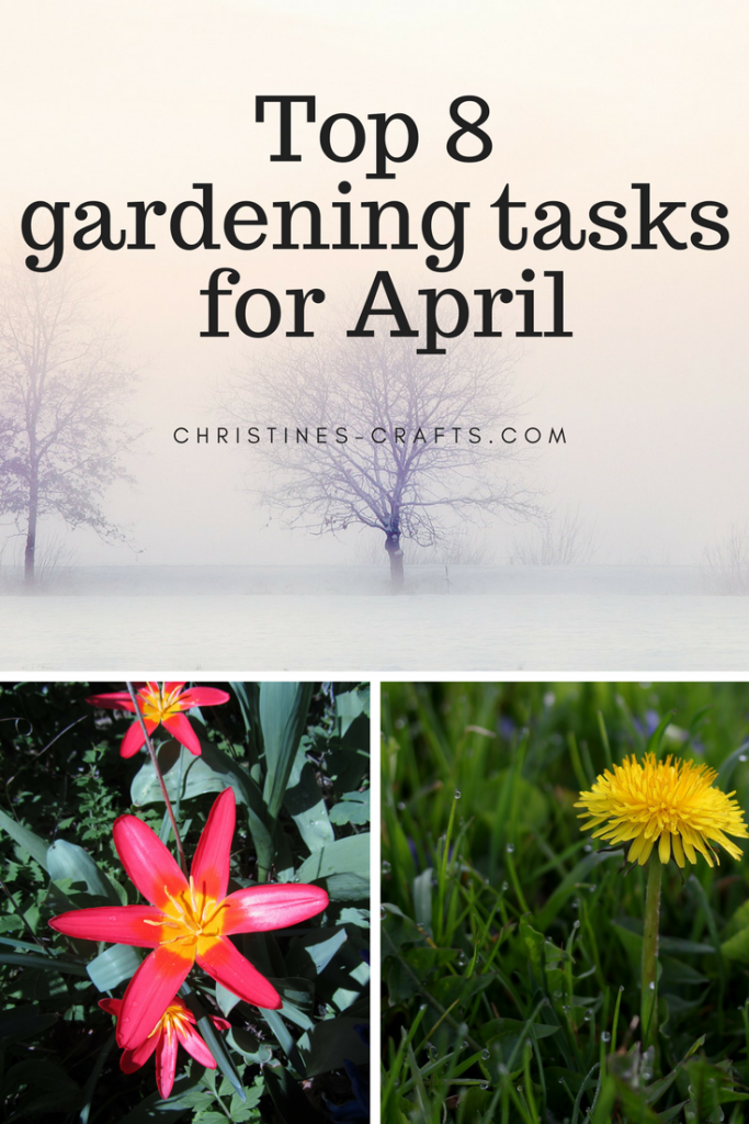 Essential Tasks for April in the garden - Christine's Crafts