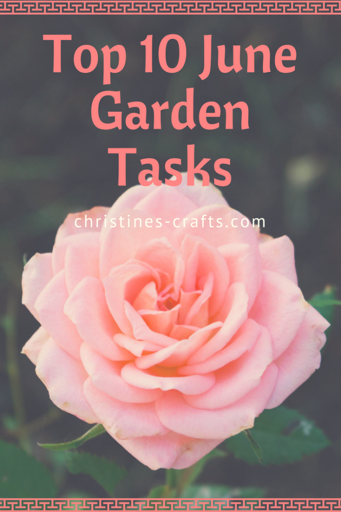 June Top 10 Tasks for the Garden - Christine's Crafts