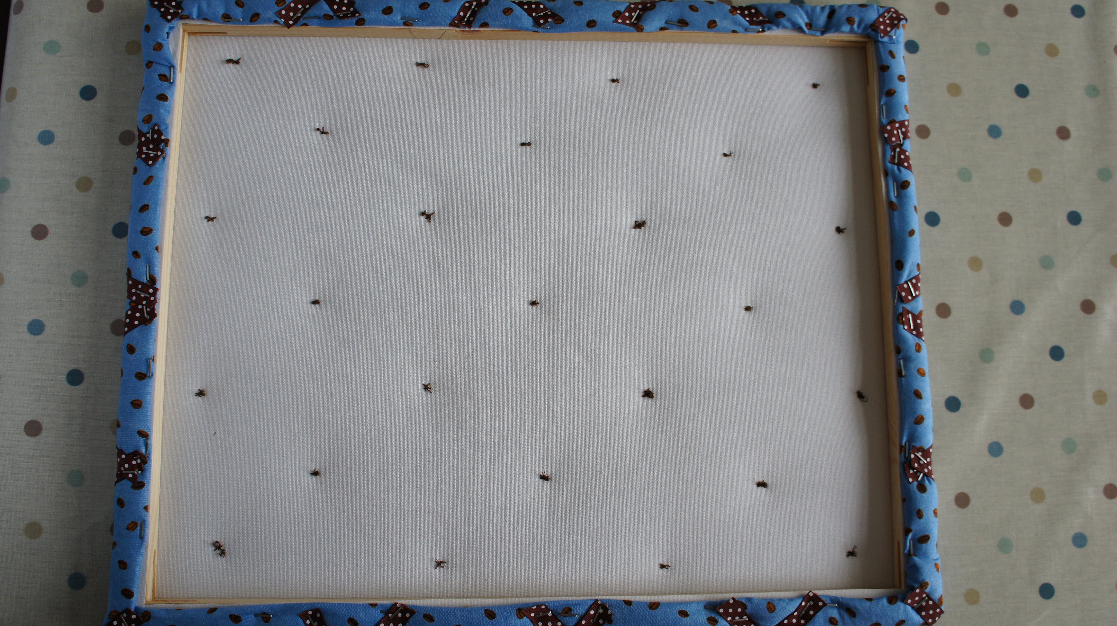 Back of finished pinboard