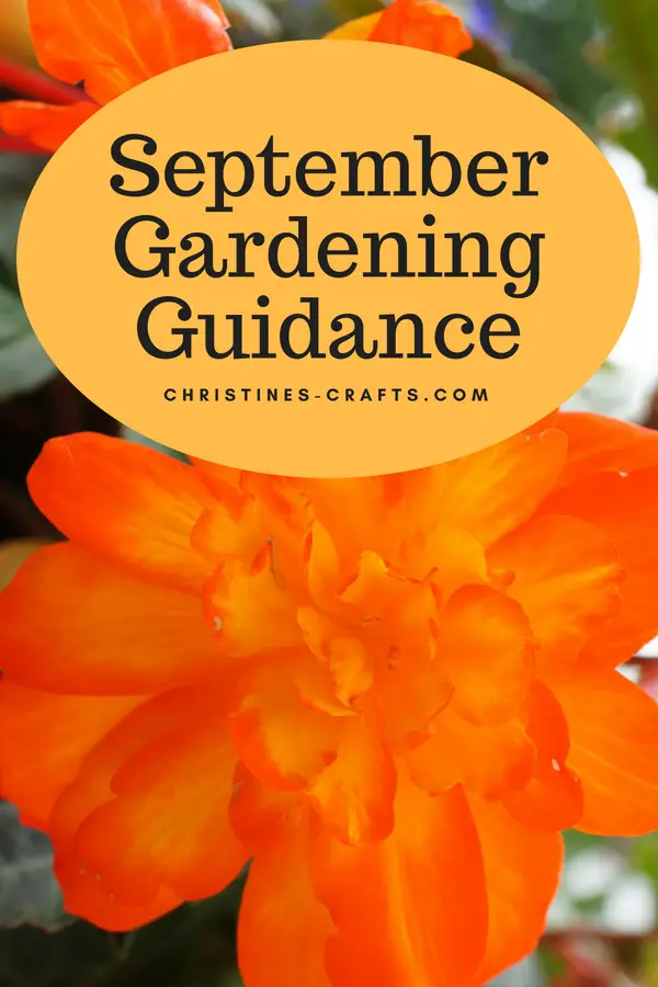 September Gardening Guidance