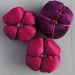Three silk ball flowers