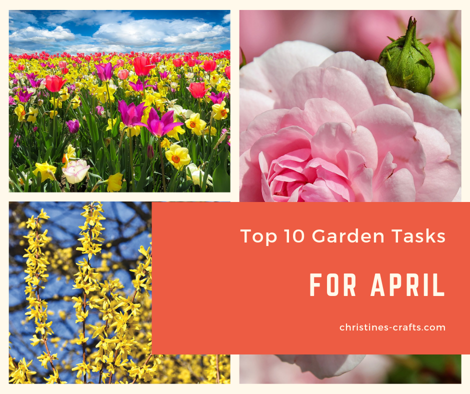 Garden Tasks for April, my Top 10 - Christine's Crafts