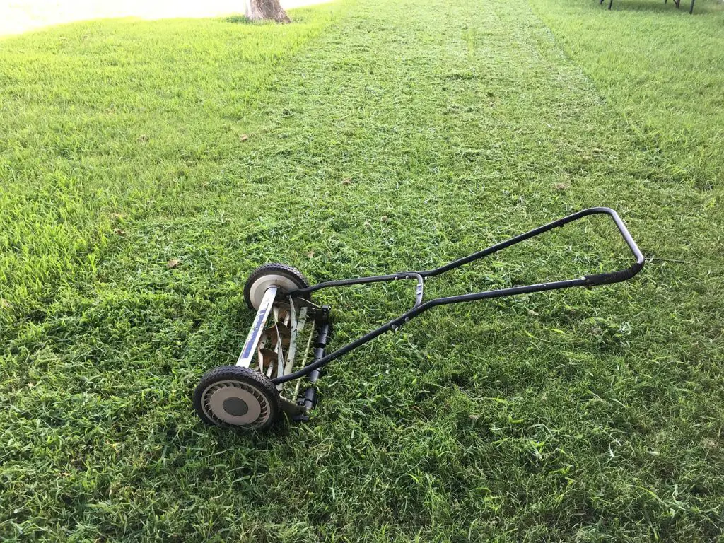 lawn-mower