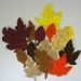 Completed Fall Leaves
