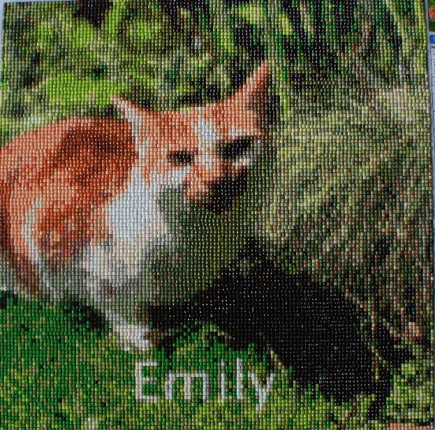 Emily the cat Diamond Painting