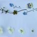 Flowers arranged