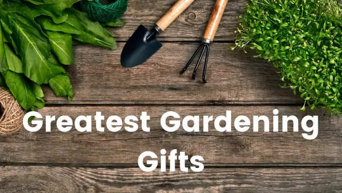 Great Gardening Gifts that Gardeners really want – Best 15