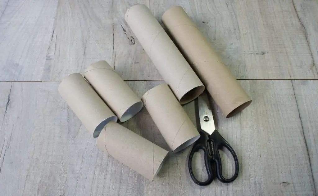Toilet paper rolls and scissors
