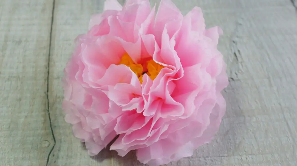 pink peony tissue paper flower