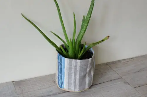 Completed Plant Pot Cover