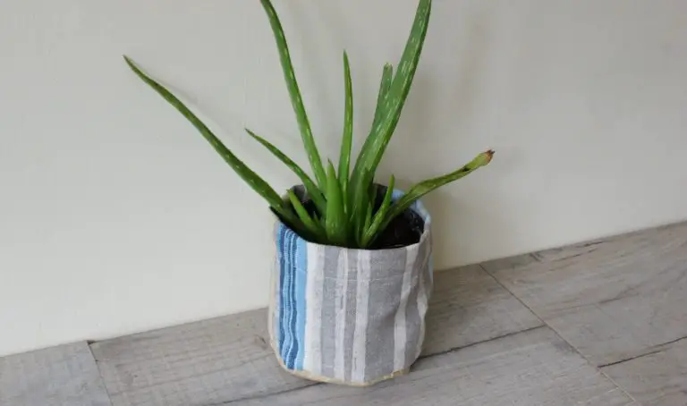 How to Transform a Pot by Sewing a Super Simple Plant Pot Cover