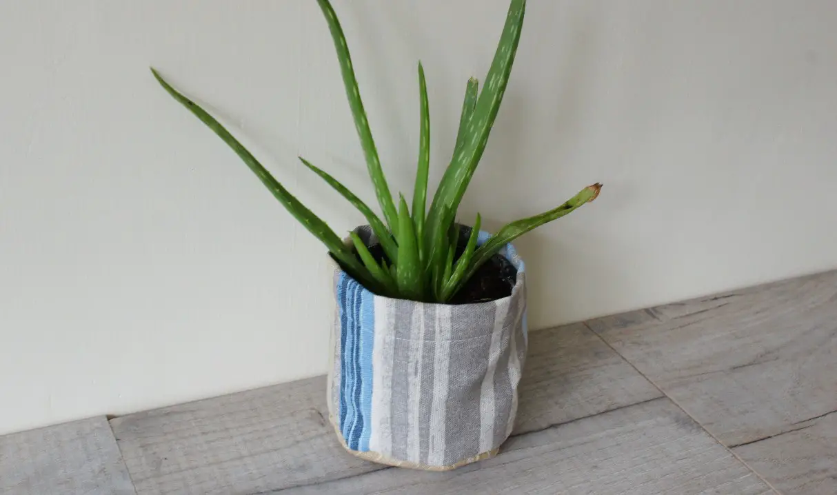 Completed Plant Pot Cover