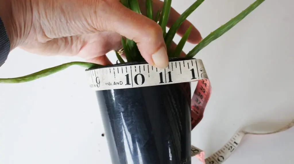 Measure Around the Pot