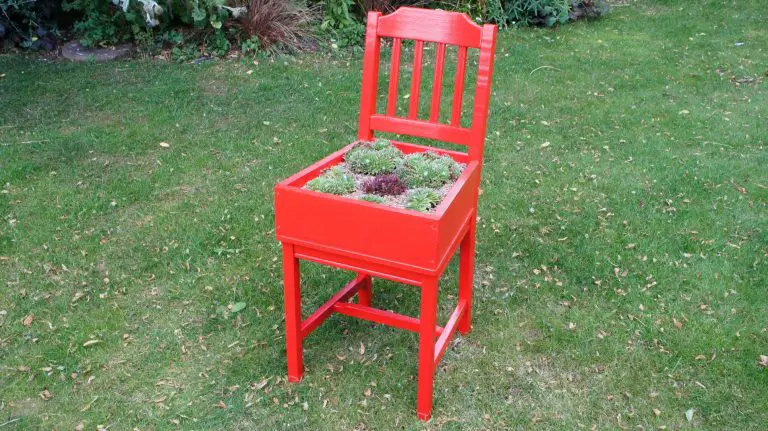 Succulent Garden Idea: Easy to Follow DIY Chair Upcycle Project