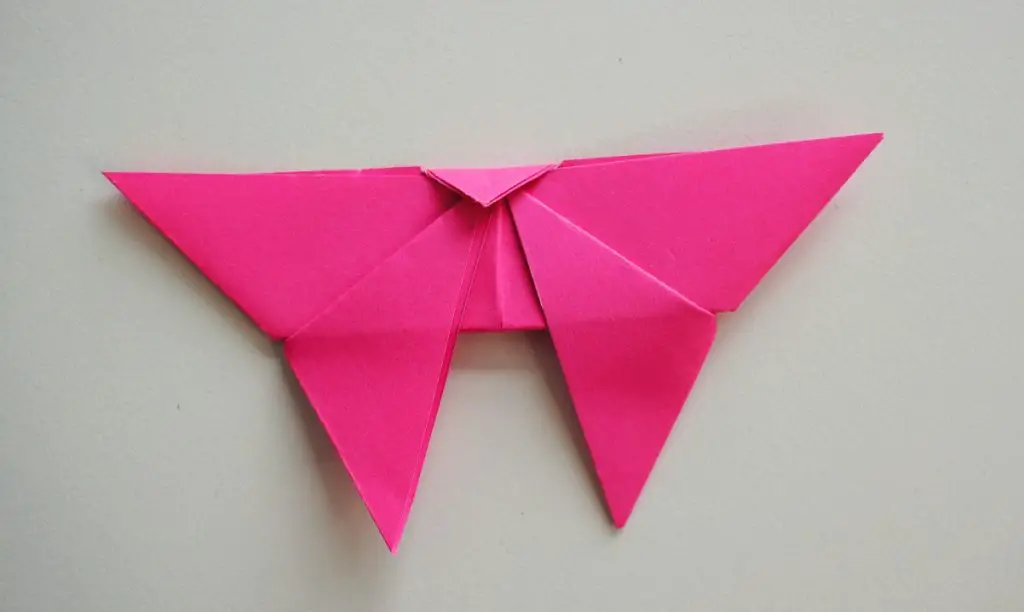 from Origami butterfly head