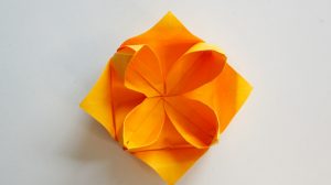 How to Make an Origami Lotus Flower , Easy Tutorial for Beginners
