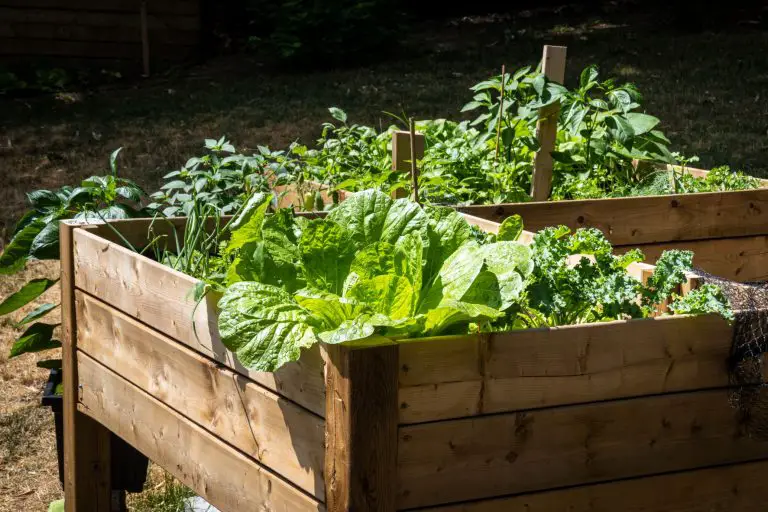 raised garden bed with legs