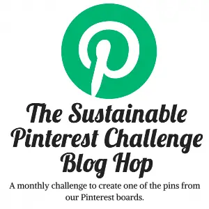 sustainable Pinterest-Challenge-Blog-Hop