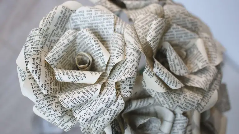 book page roses