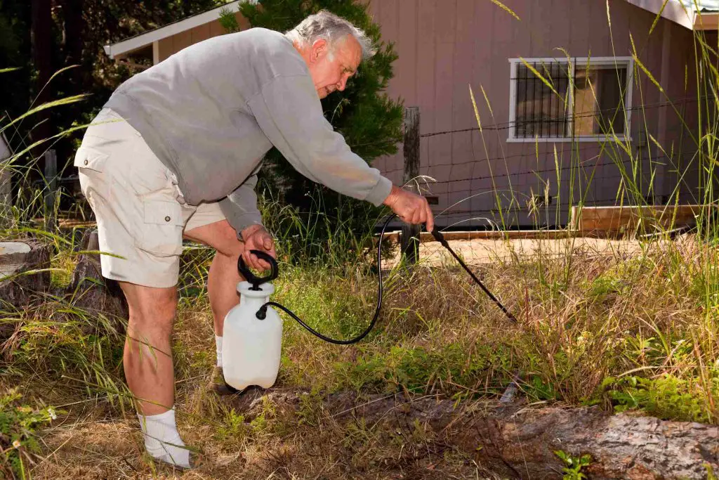 man spraying home made weed killer on weeds