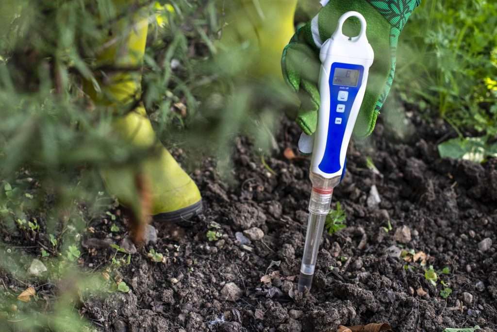 soil testing pH