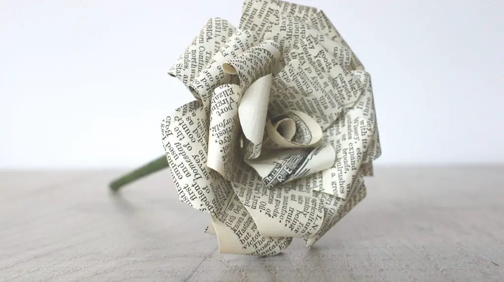 book page rose lying down