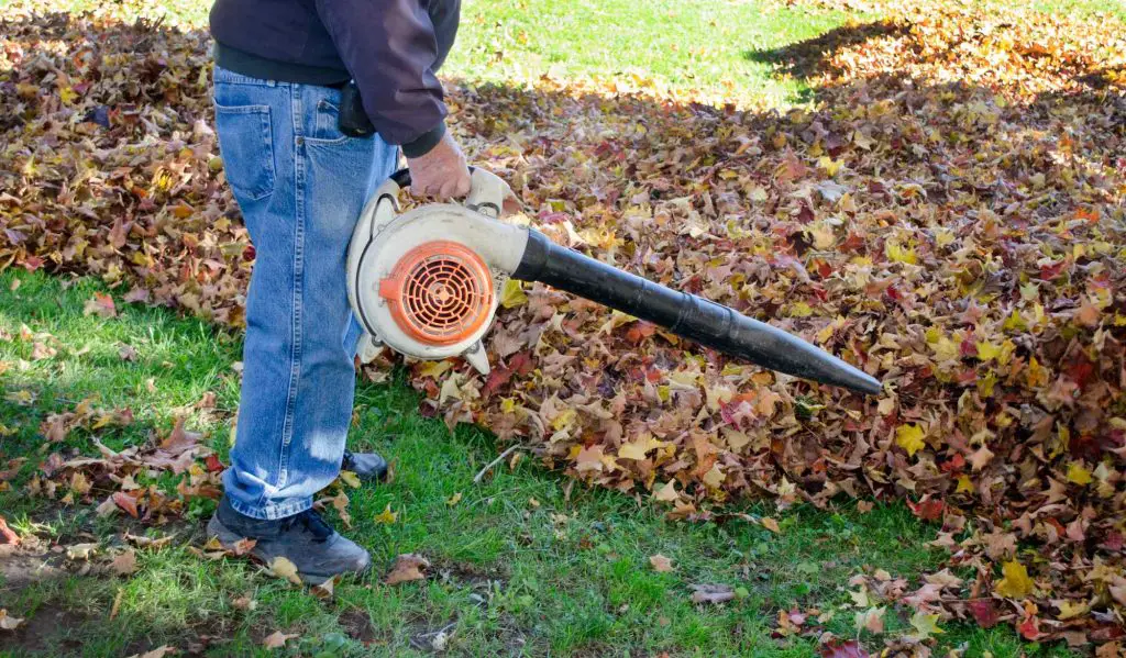 leaf blower in garden use for accessible gardening
