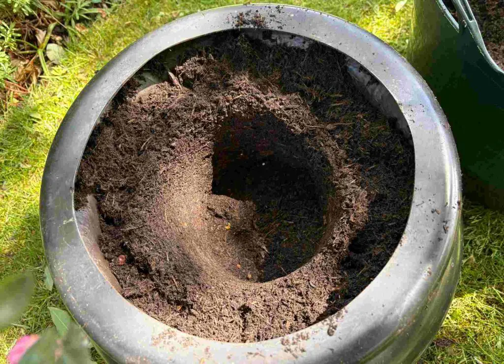 patio tree pot