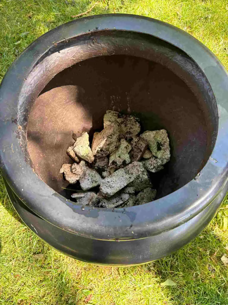 pot for patio tree