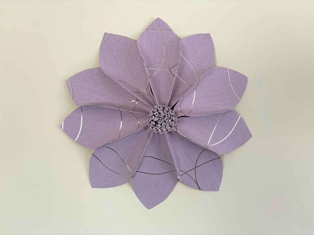 pink wallpaper flower on white background