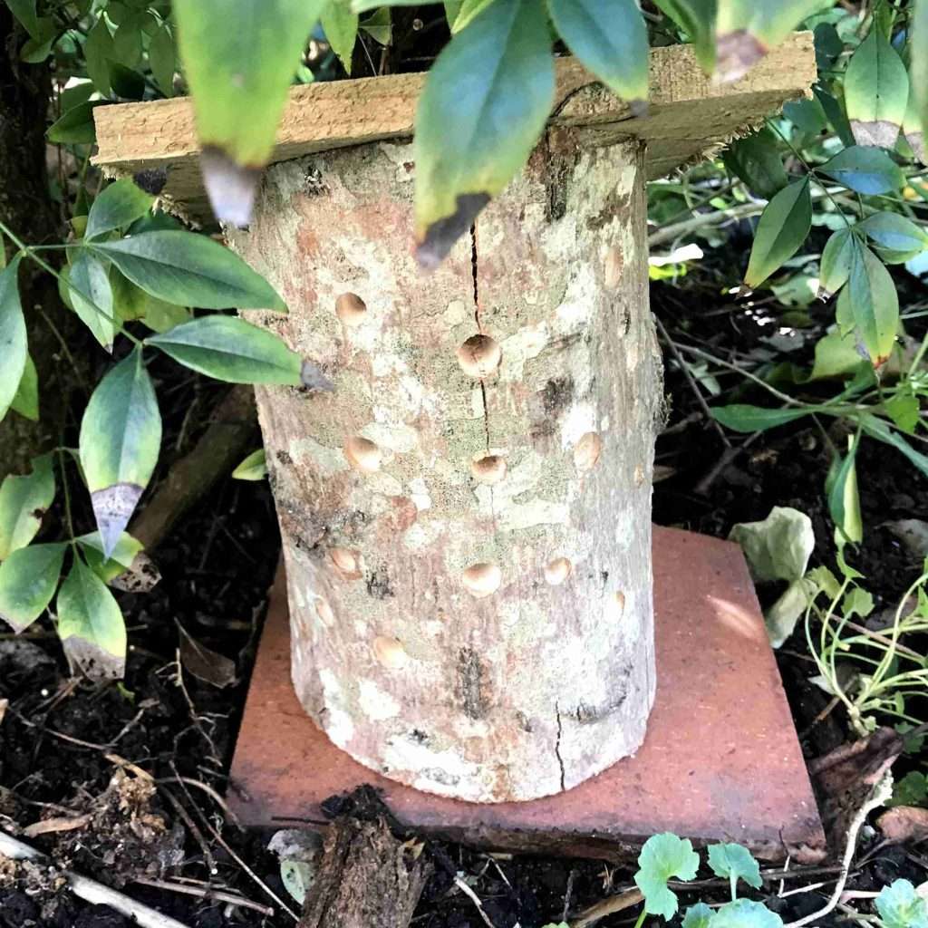 ladybird house made from a log