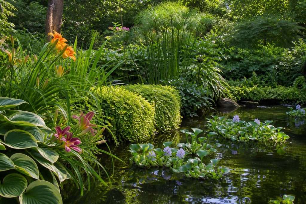 lush garden with lake