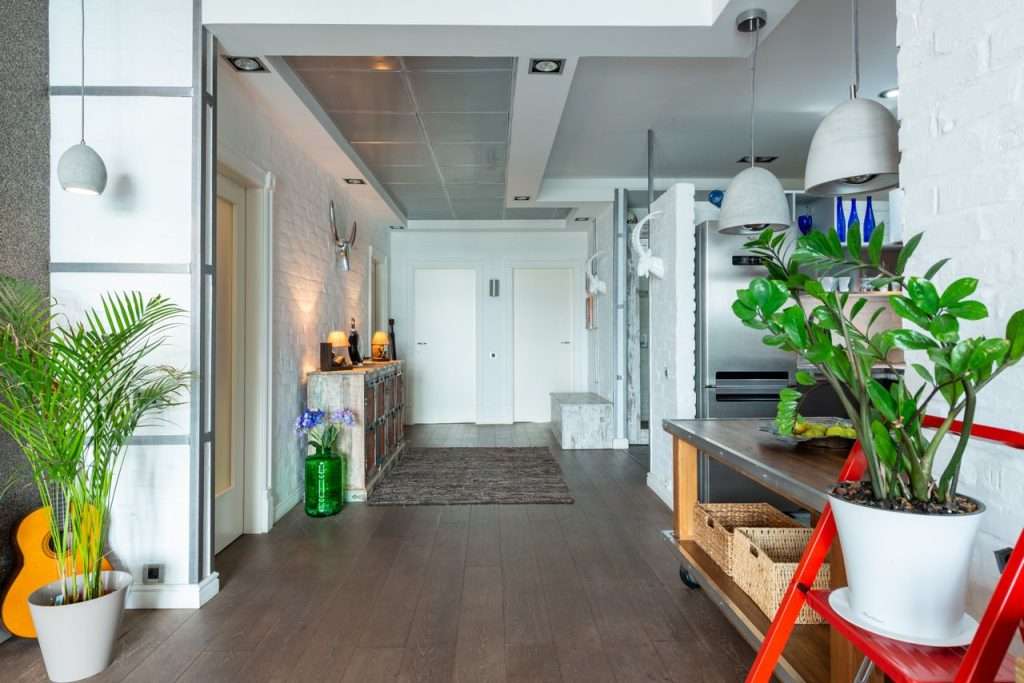 large zoned room with plants, brightly lit