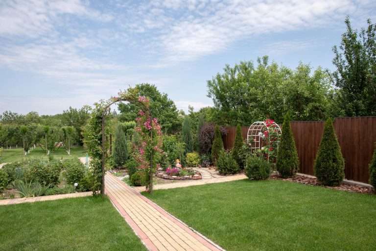 Garden with arch and paths and lawns