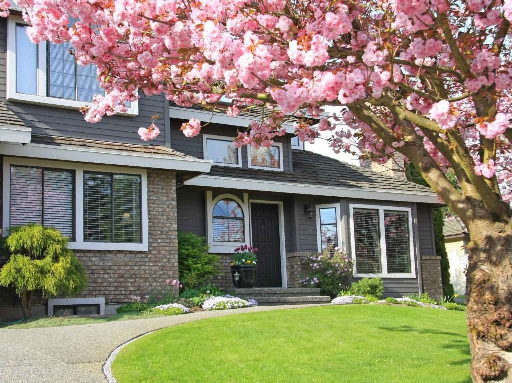 house with pretty pink tree in front