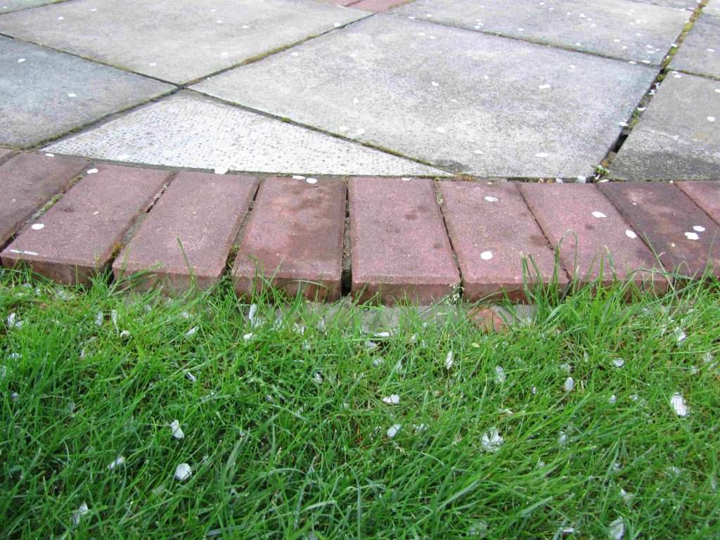lawn edged with block pavers